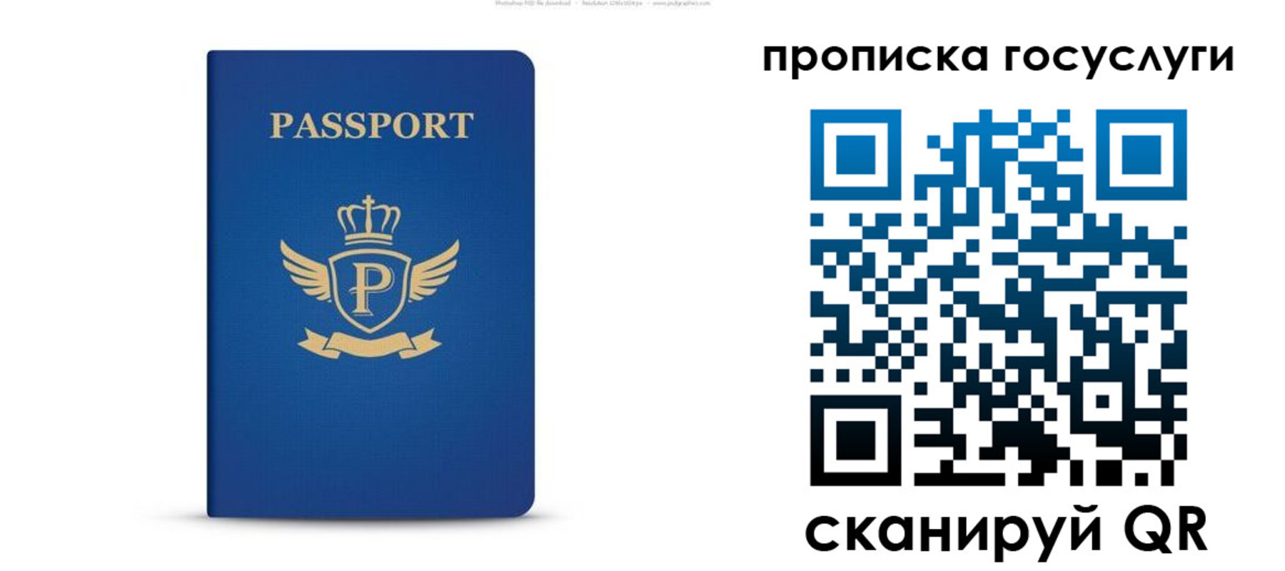 прописка для школы в Петровск-Забайкальском
